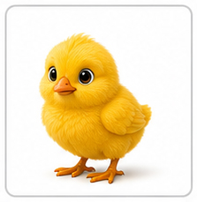 chick
