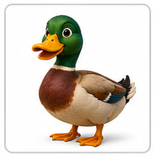 duck