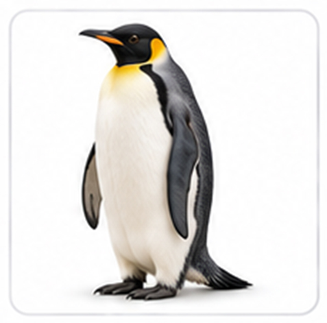 penguin