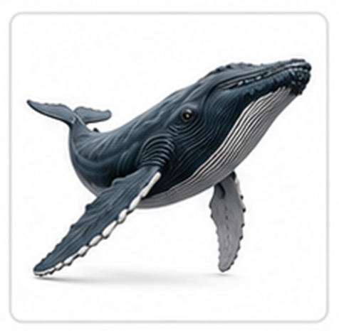 whale