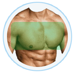 chest