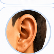 ear