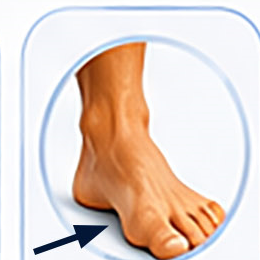 foot
