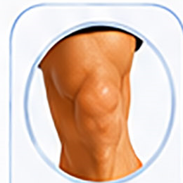 knee