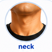 neck