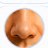 nose