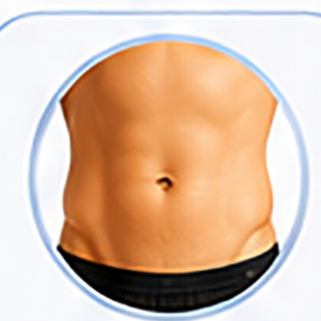 stomach