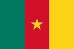 Cameroon flag