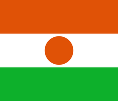 Niger flag