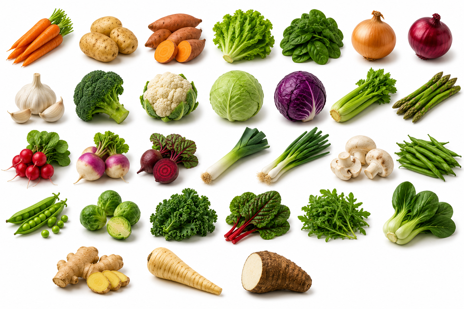 Common Root, Leafy, & Stem Vegetables — Vegetables