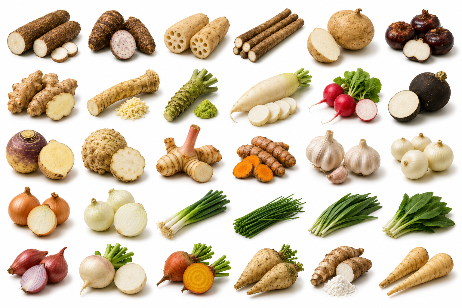 Roots, Tubers, Bulbs & Alliums — Vegetables