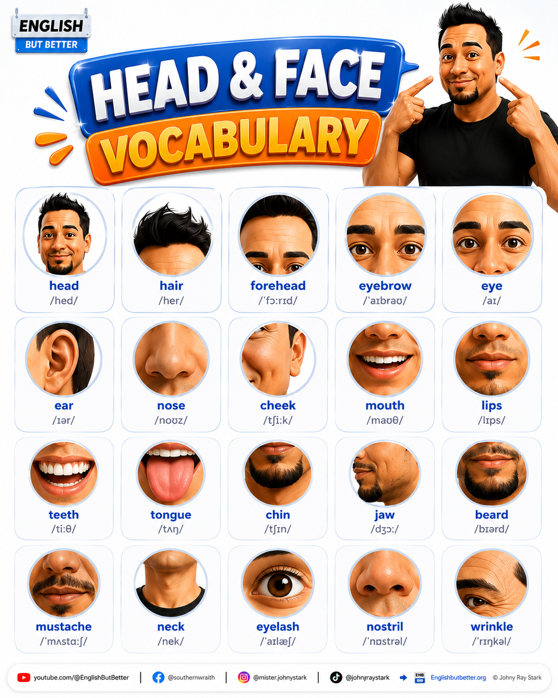 Head and Face Vocabulary infographic: close-up photos for head, hair, forehead, eyebrow, eye, ear, nose, cheek, mouth, lips, teeth, tongue, chin, jaw, beard, mustache, neck, eyelash, nostril, and wrinkle