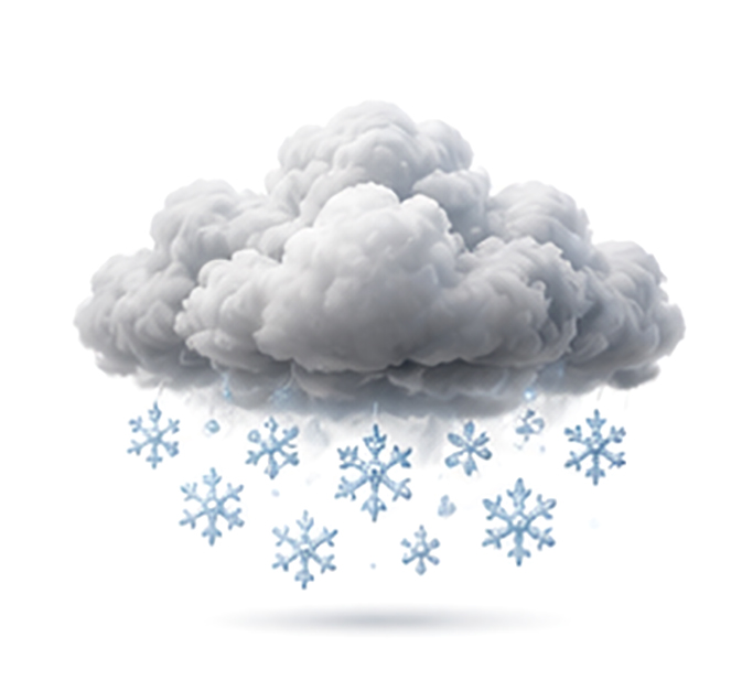 snowy
